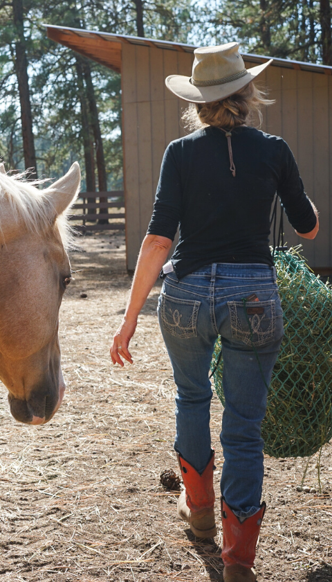 horse and women walking with green hay net to shelter
