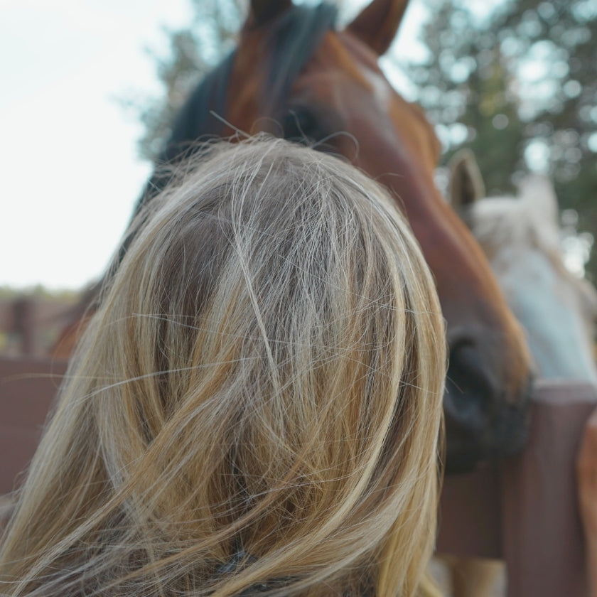 back on a women head and a horse looking over a fence 