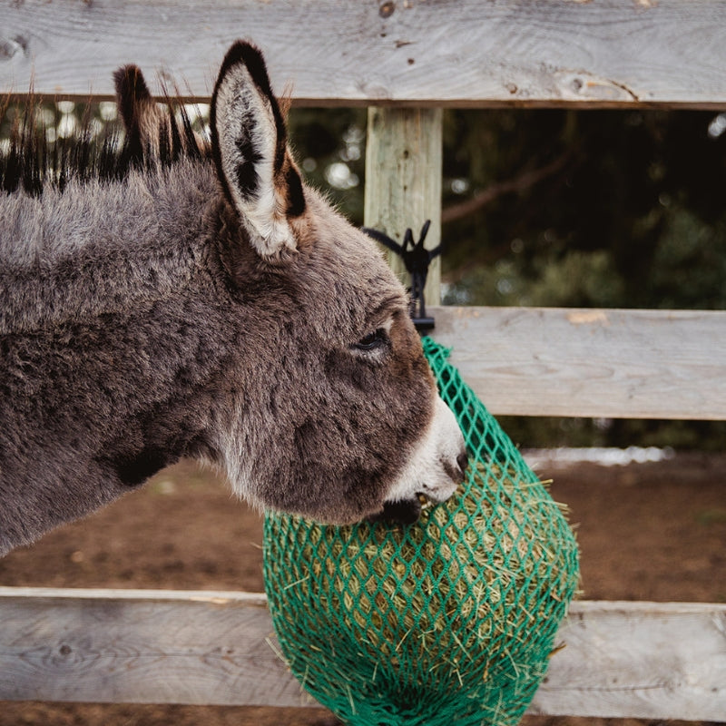 Benefits to hay nets