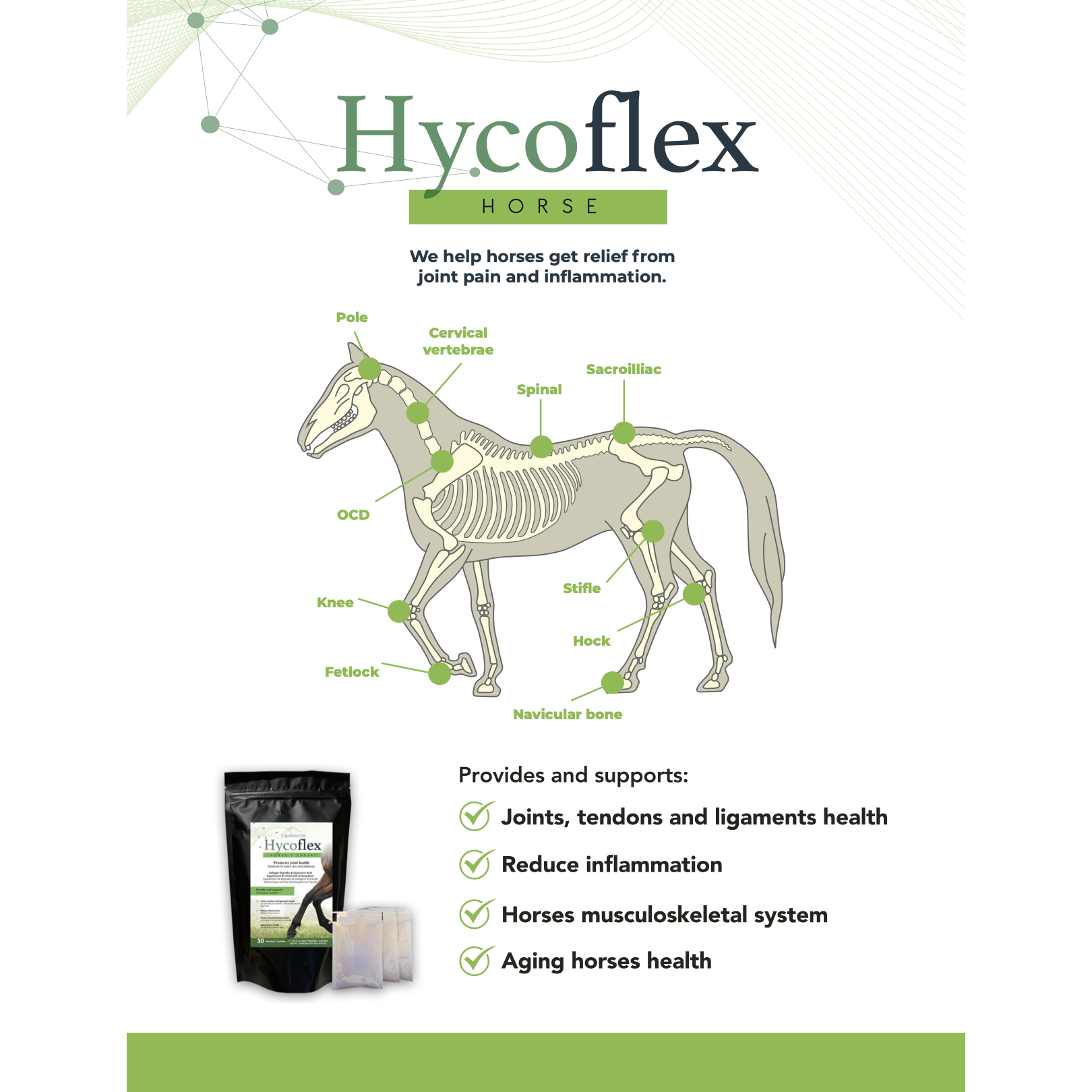 HycoFlex Supplement
