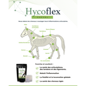 HycoFlex Supplement