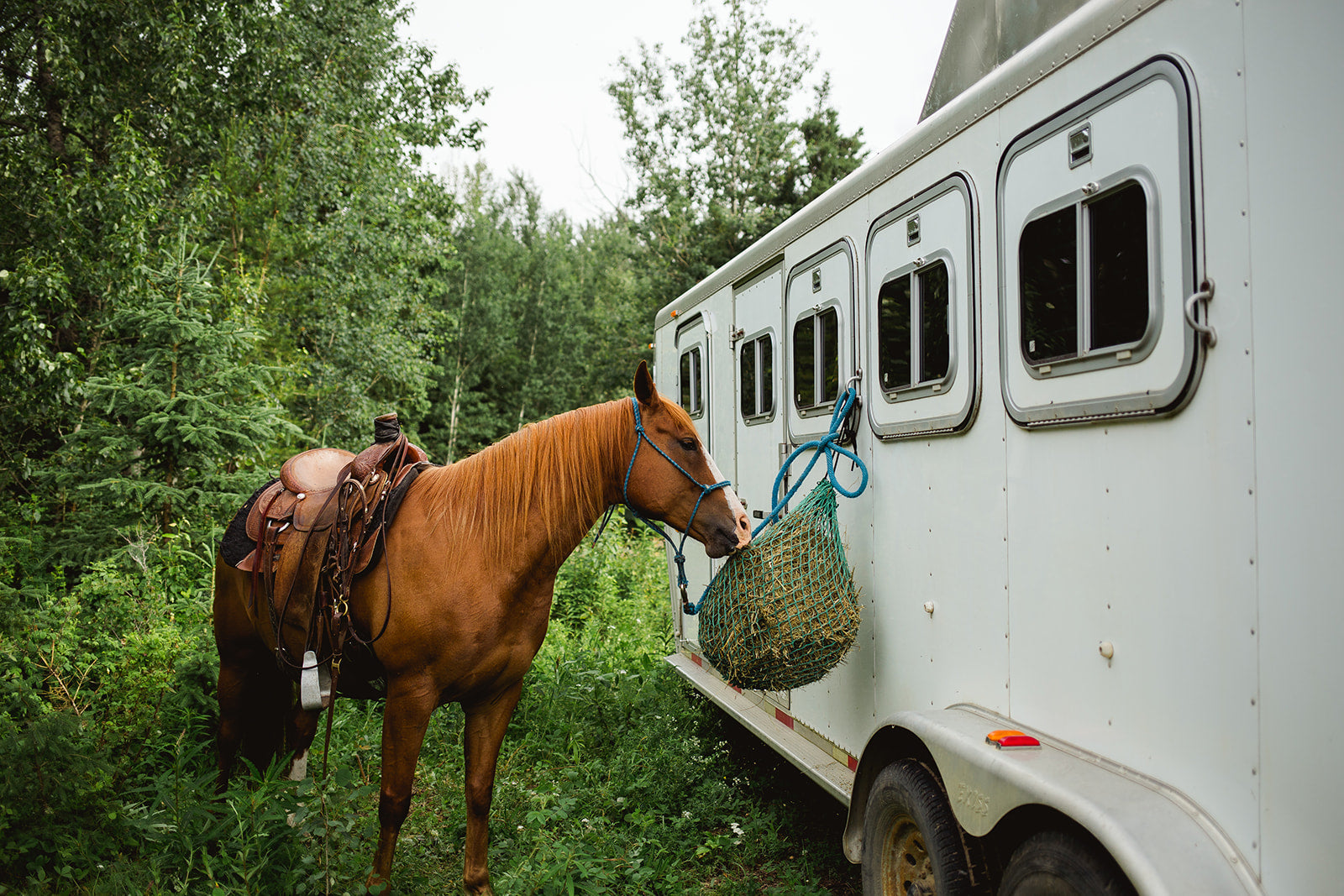 Trailer Feeding Done Right: How to Choose the Right Trailer Bag Size & Hang It Safely