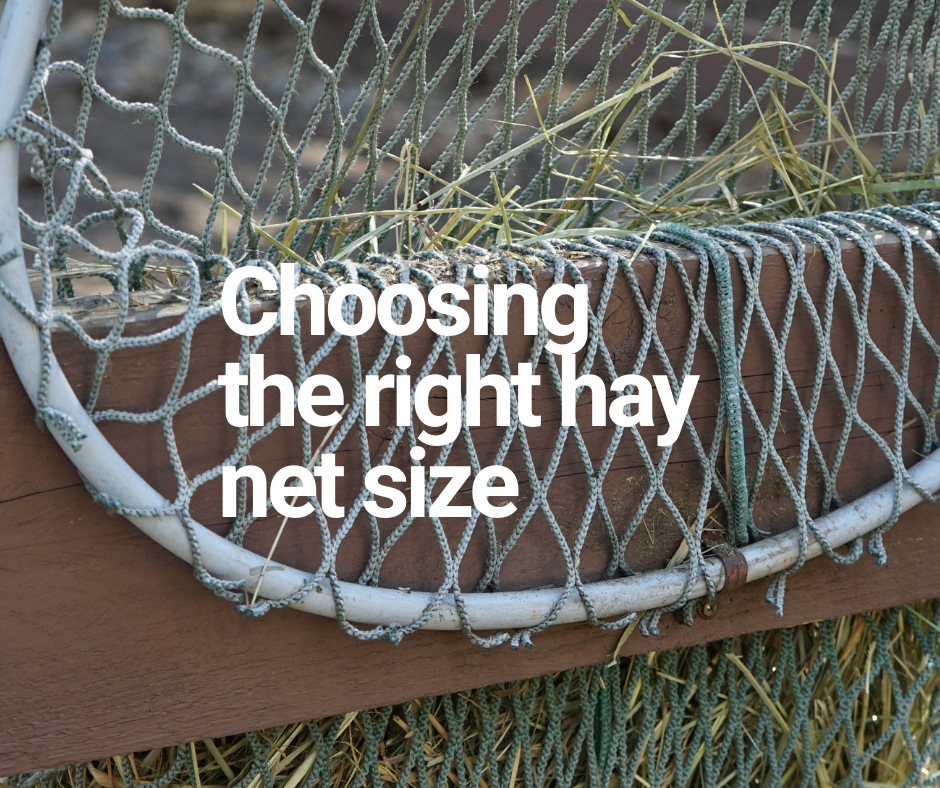 What Factors Should I Consider When Choosing a Hay Net Size?