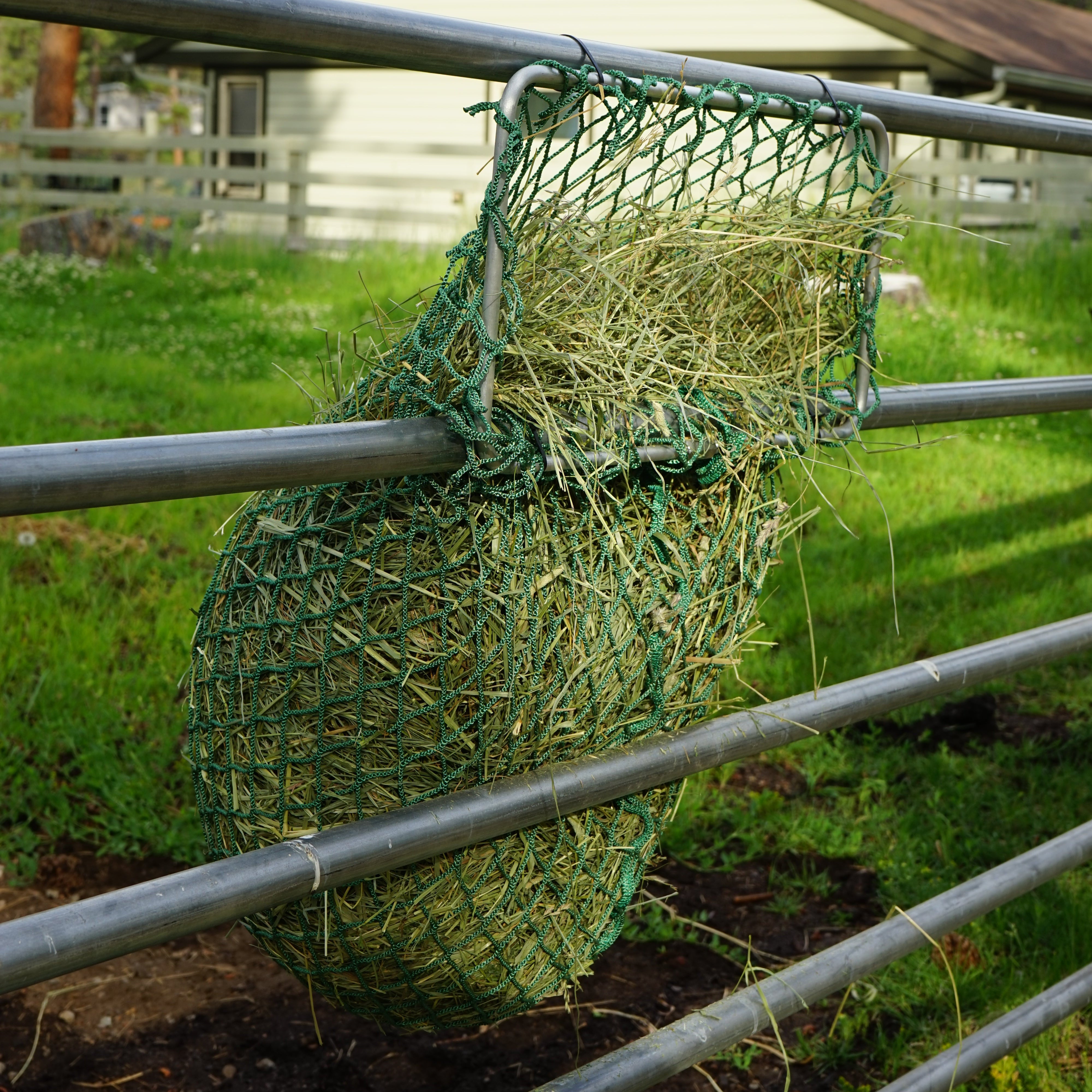 green hay net frame hanging on rail fencing 