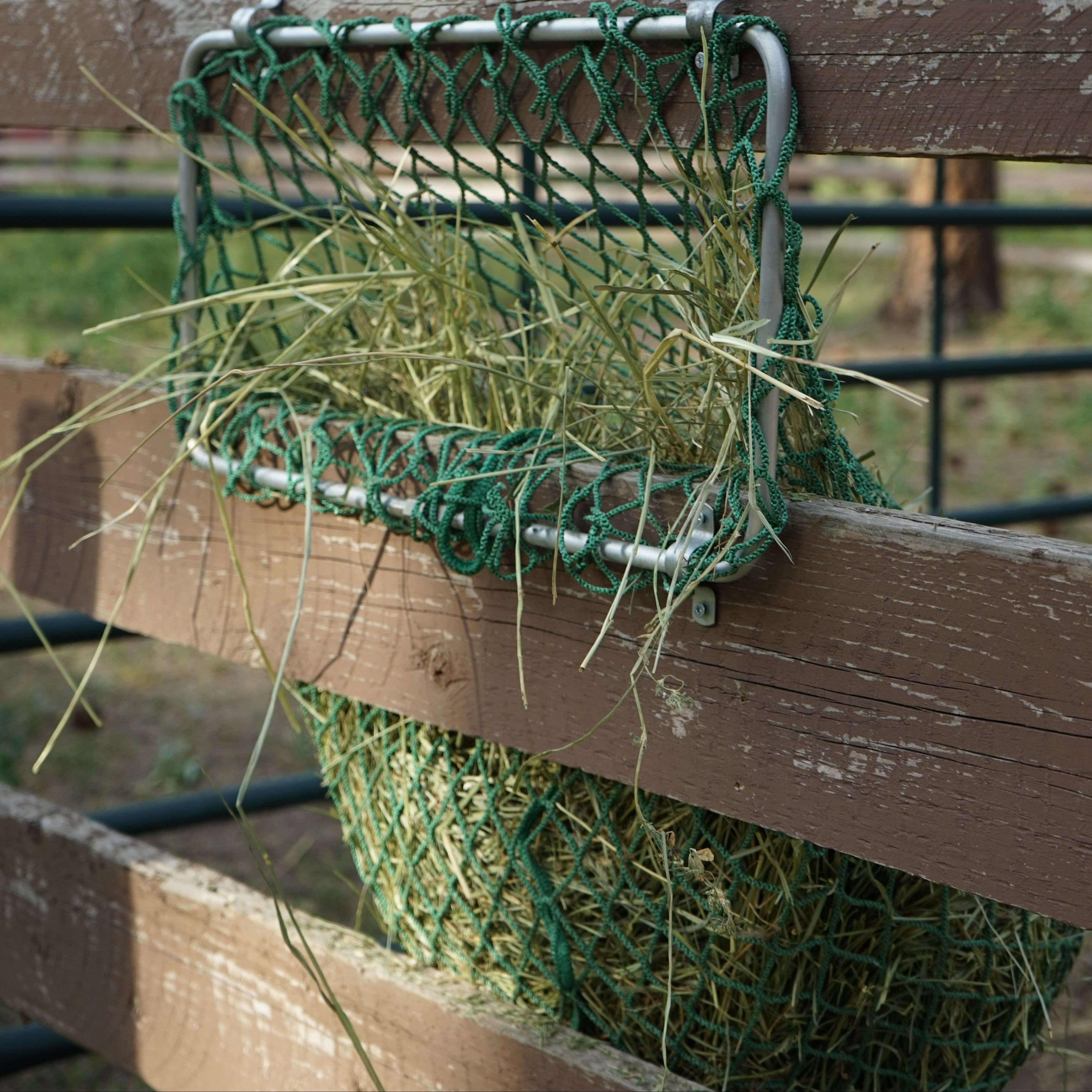 Hay feeder with green netting attached to a wooden fence in an outdoor setting