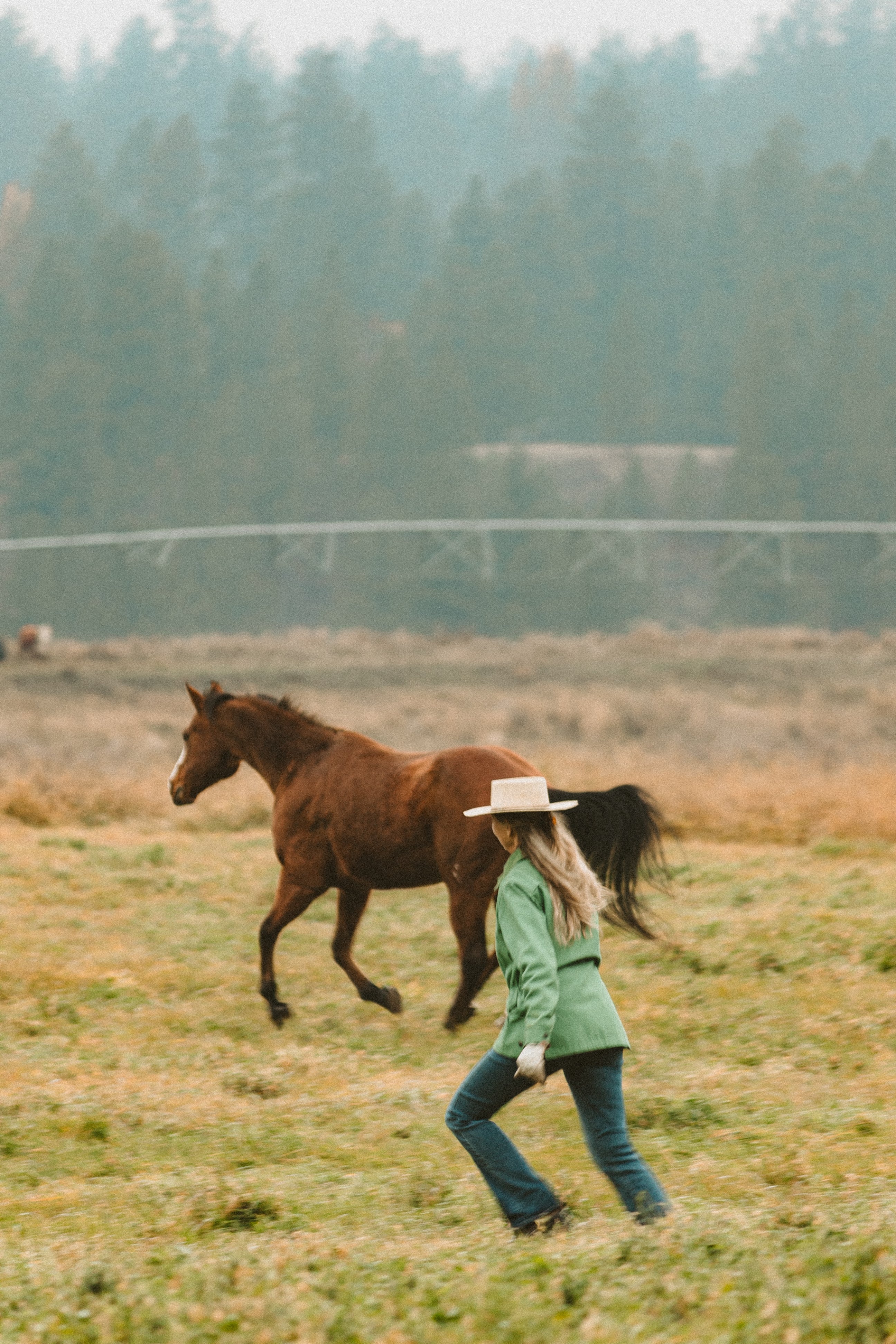 Person in a green jacket and white hat walking with a brown horse in a field with trees in the background