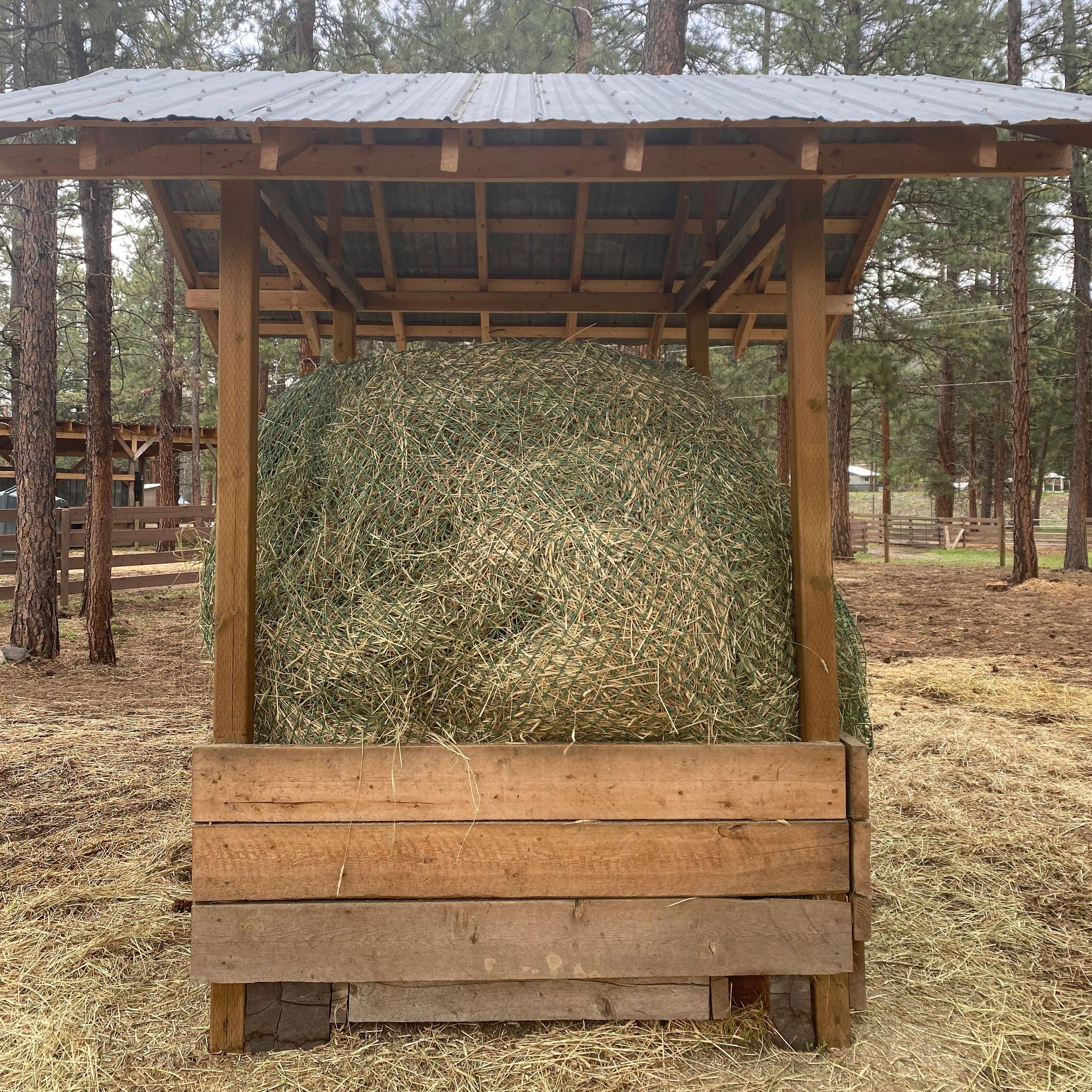 Wooden bench and shelter in a forest setting