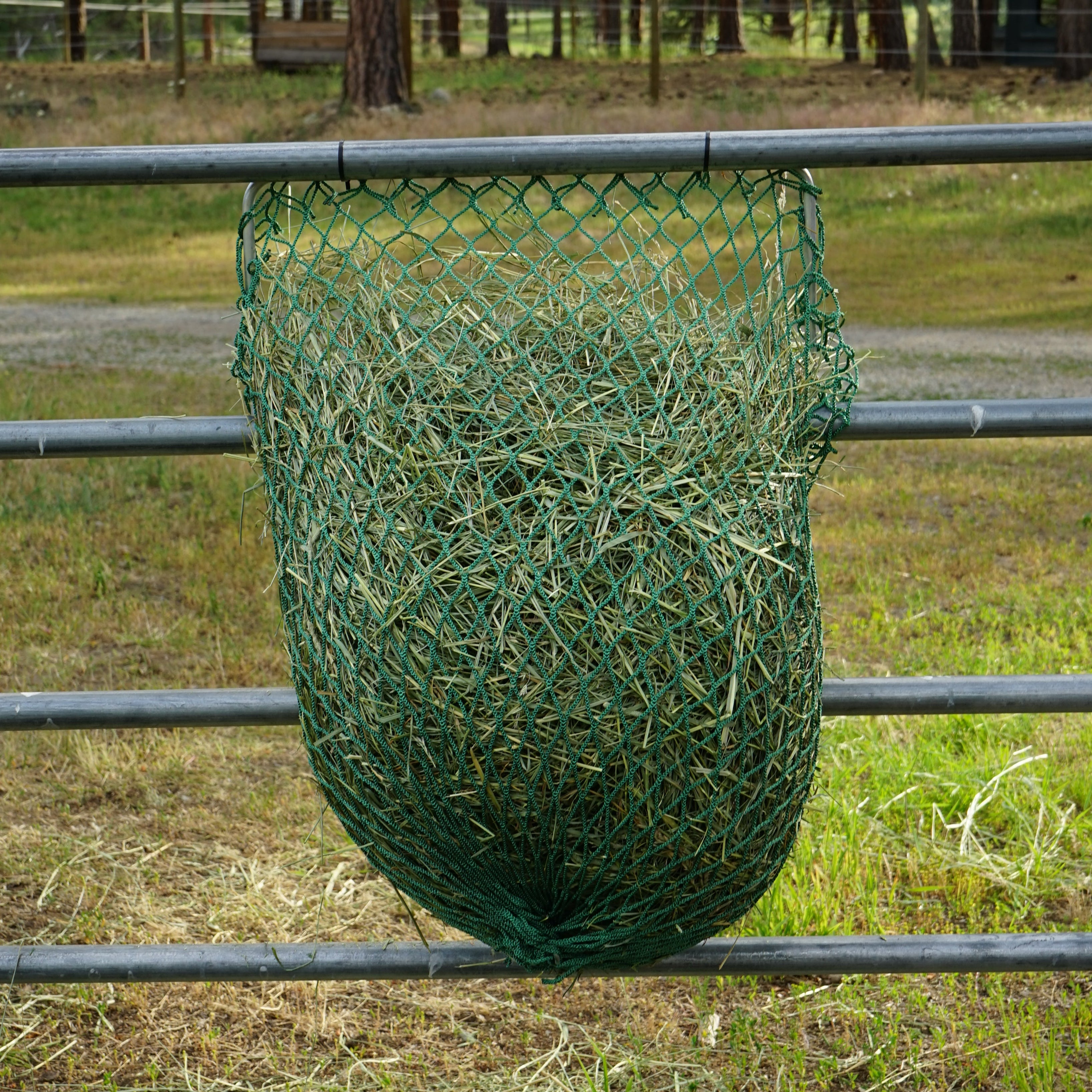 Hay net hanging on a metal fence with trees in the background