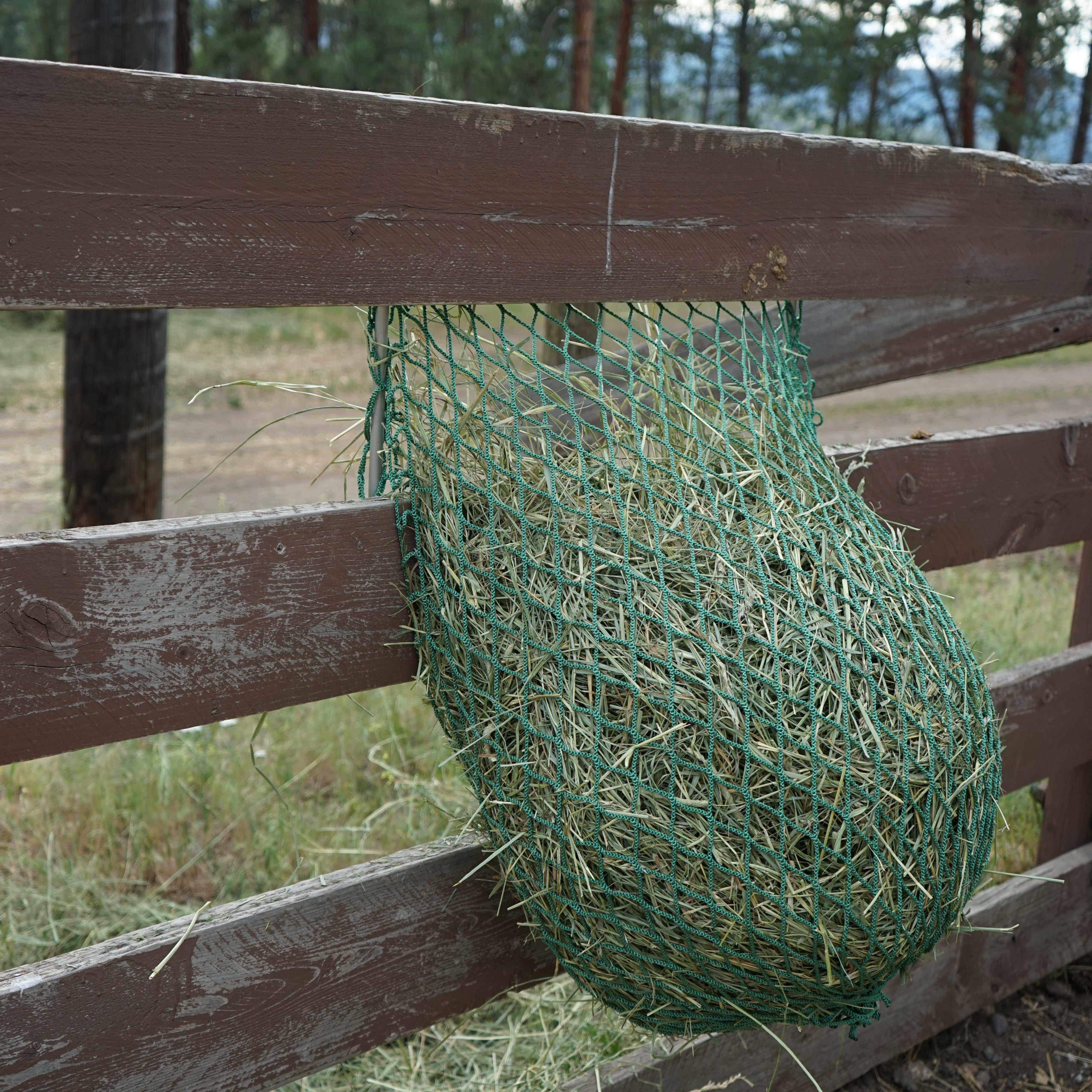 Green hay net hanging on a wooden fence with trees in the background