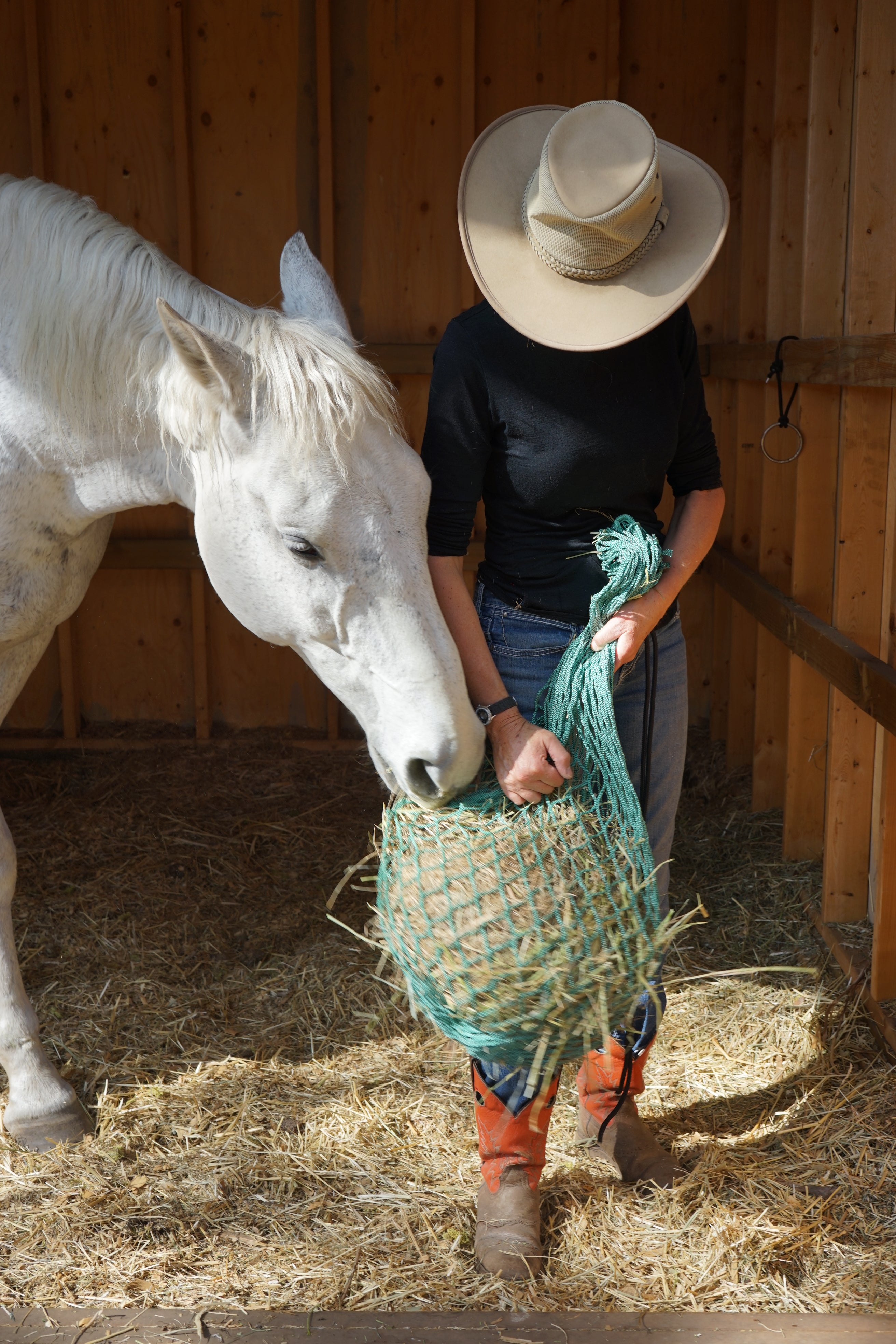 women finding a white horse from a green hay net wearing orange cowgirl boots