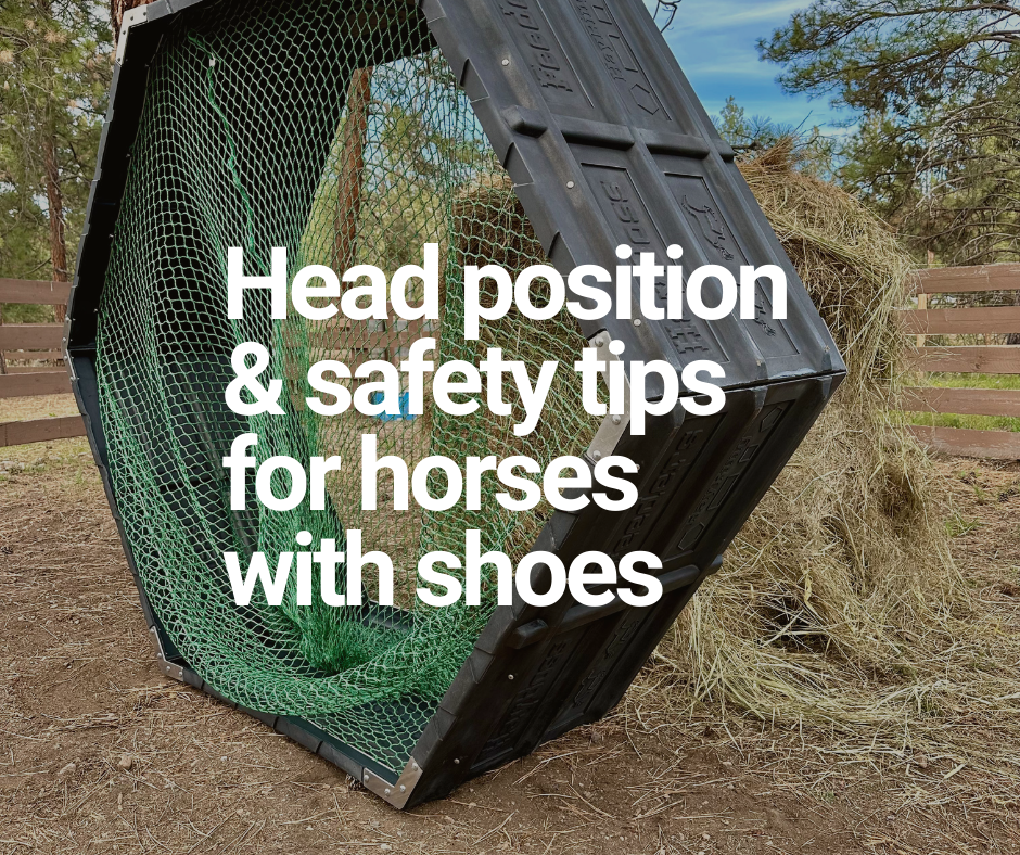 Head Position and Hay Nets &amp; Safety Tips for Horses with Shoes