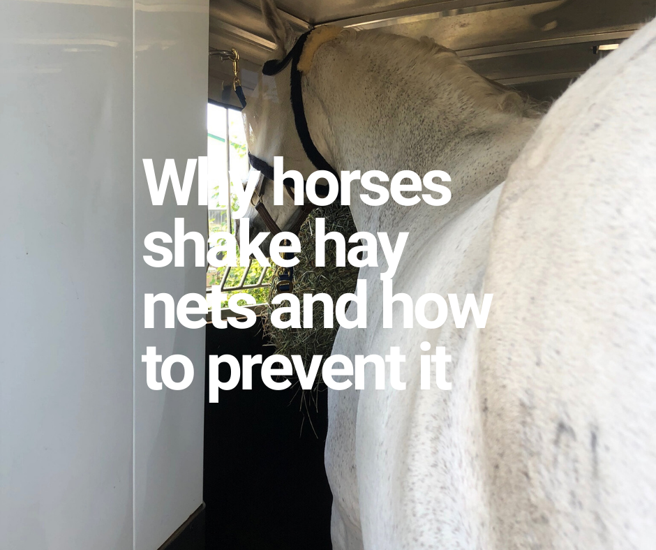 What Causes Horses to Shake Hay Nets &amp; How to Prevent