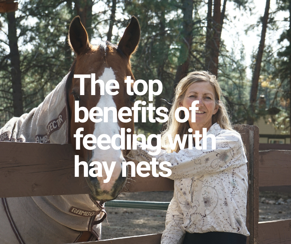 Why Should You Consider Using Hay Nets? Here Are the Top Benefits
