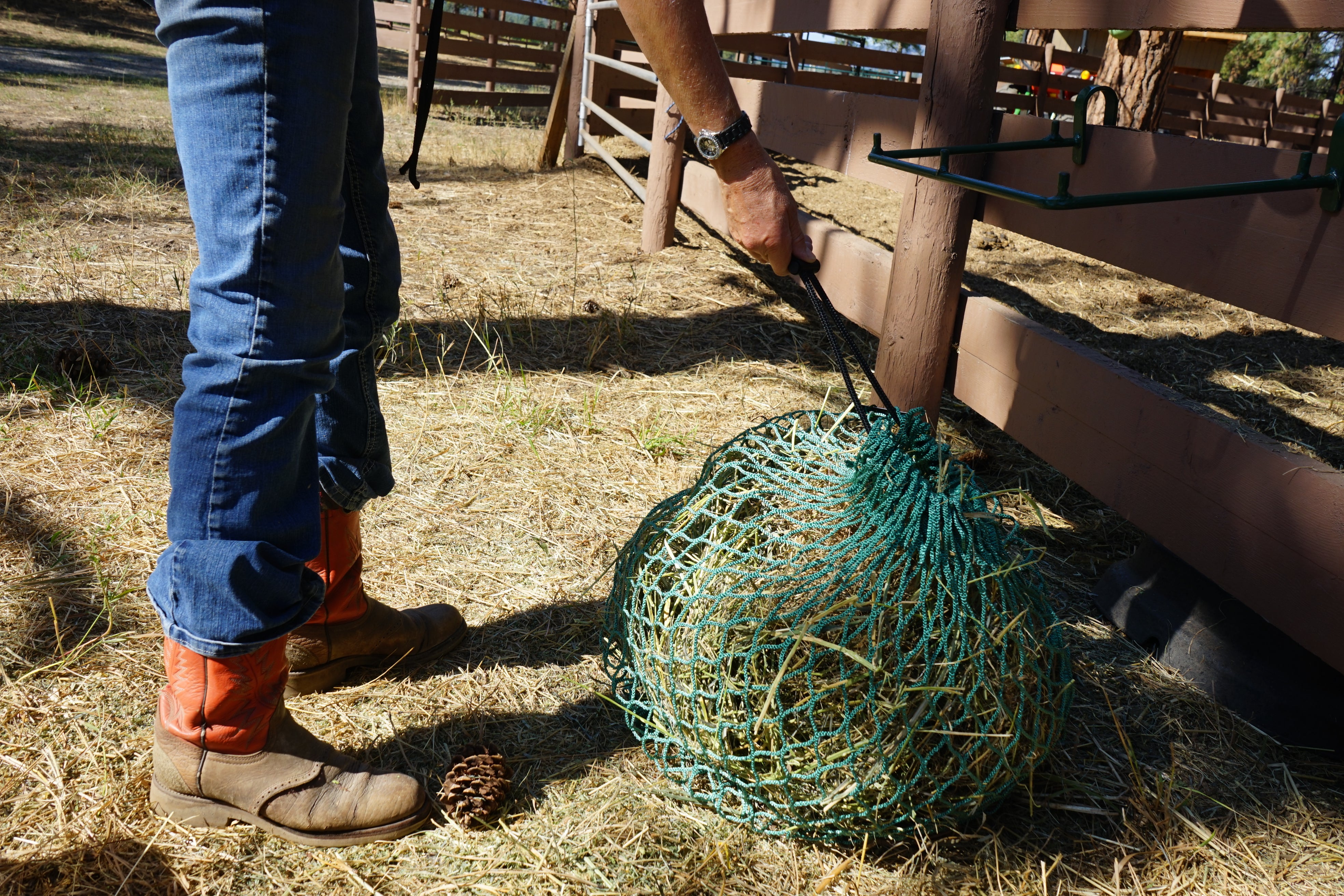 women tying up a flake feeding hay net with orange boots on and blue jeans