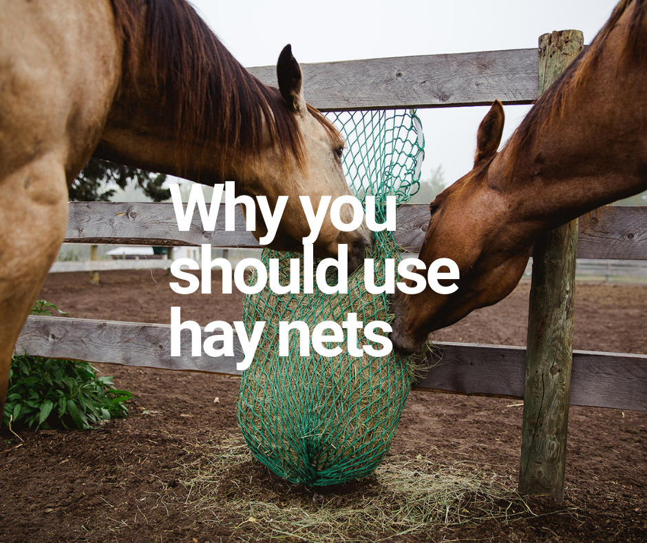 Why We Use Hay Nets | Slow Hay Feeders 