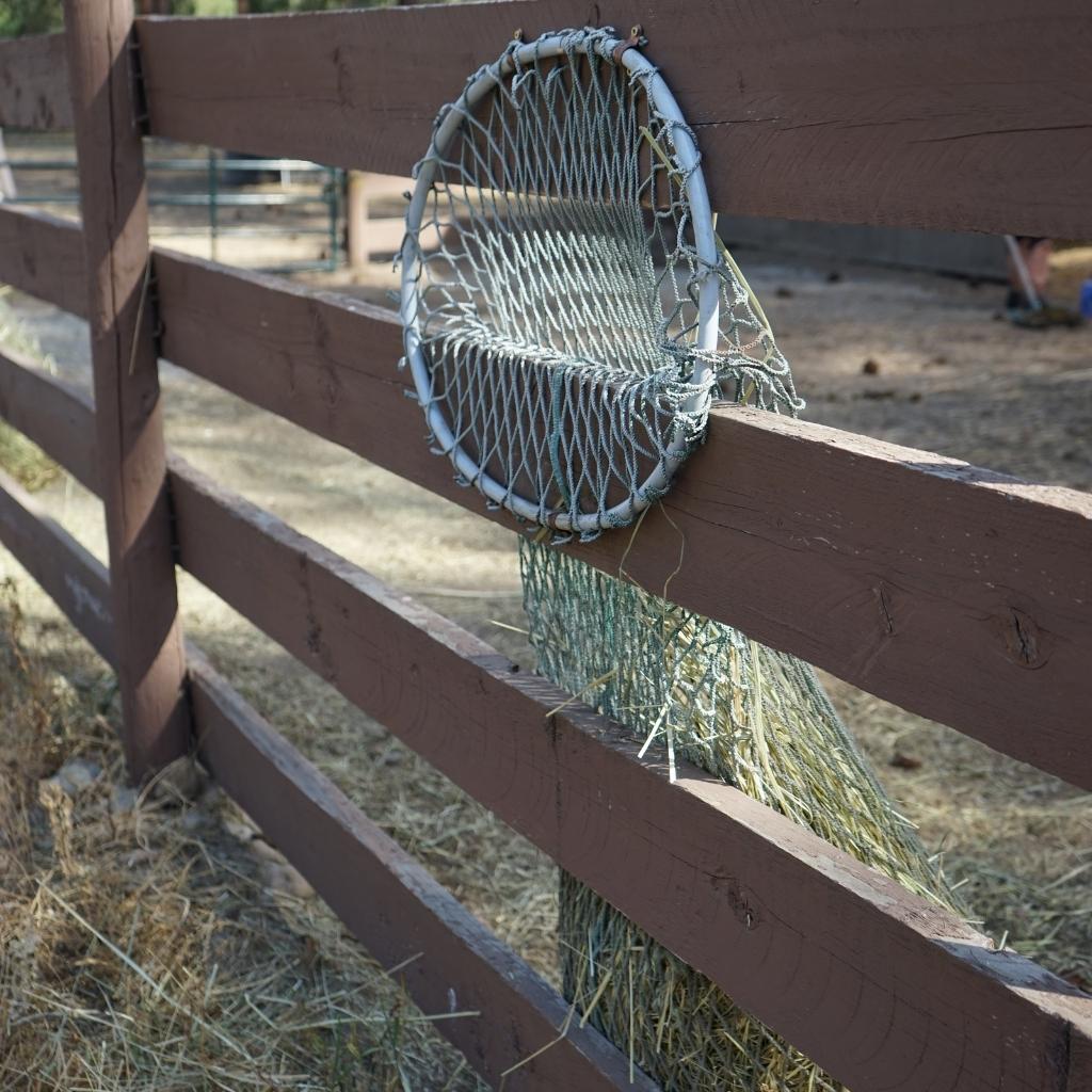 EZ Fill Replacement Net