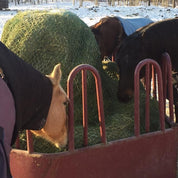 Round Bale Bag-slow_hay_net_feeders-NAG Bags