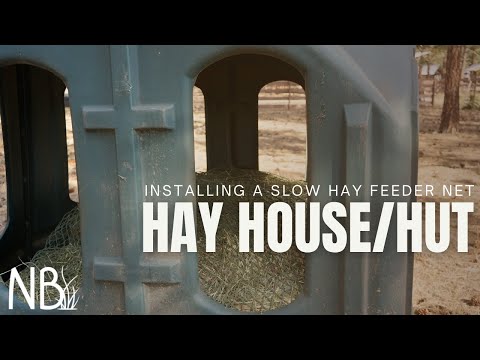 Hay House Nets